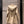 Fendi Hooded Windbreaker Jacket Beige Cotton
