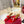 HIGH MULE 60MM IN CHERRY RED SHEEPSKIN AND TRANSPARENT PVC