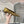 SL NOUR LEOPARD POINT TOE BALLET MUSTARD CRYSTAL SATIN