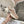 CD Vibe Sneaker Beige Brown Polyester Mesh Fabric And Cowhide