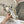 CD Vibe Sneaker White Mix Grey Gold Polyester Mesh Fabric And Cowhide