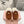 Miu Mule Wool Lining Caramel Brown Suede