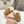 Miu Mule Wool Lining Tobacco Brown Suede