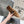 Alaila Ballet Flats In Moss Brown Velvet With Rhinestones 971998