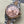 Datejust 31mm Pink Gold Steel Salmon Dial Diamond Numerals