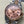 Datejust 31mm Pink Gold Steel Salmon Dial