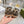 Escarpins à mors GG Mocassins Léopard Laine 576259