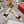 Belle Viv Metal Buckle Slingback Pumps 45 White Patent Leather