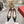 Viv Canard Pumps 55 Black Patent Leather