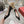 Viv Canard Pumps 55 Black Patent Leather