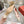 Viv Canard Pumps 55 Pink White Patent Leather