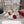 Viv 25 Square Buckle Platform White Red Cowhide 262979
