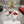 Viv 25 Square Buckle Platform White Red Cowhide 262979