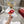 Viv 25 Square Buckle Platform White Red Cowhide 262979