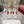 Viv 25 Square Buckle Platform White Red Cowhide 262979