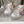 Viv 25 Square Buckle Platform White Pink Cowhide 262980