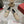 Viv 25 Loafer Beige Cowhide Lambskin 317469