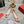 Viv 25 Pumps 2.5cm Red Floral Fabric Leather 355492