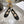 CD 26 Ballet Flats Black Leather With Sequins 592215