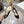 CD 26 Lolita High-Heeled 40 Black Patent Leather 592220