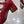 CD 26 Talon Mary Jane 40 Cuir verni rouge foncé 592223