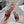 CD 26 Flat Sandals Dark Red Leather 592261
