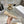 CD Very Ballet Flat Beige Lace 679840