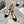 CD 26 Lolita High-Heeled 85 Black Beige Patent Leather 679734
