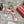 Roger Vivier Zag Sneakers White Red Lace Lambskin 679800