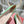 Roger Vivier 26s U Look Ballet Flat Mint Green Leather 679809