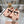 Miu 26s Ballerinas Light Pink Suede 679779