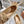 Miu 26s Boat Shoe Beige Mesh Suede 679794