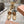 Miu 26s Ballerinas Beige Leather 679787