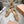 Miu 26s Boat Shoe Beige Mesh Suede 679794