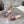 CD 26s Slippers Metallic Pink Beige Calfskin 679868