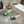 CD 26s Pantoufles Veau Métallisé Menthe 679867