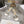 CD J'Adior Sandals White Canvas Leather 901713