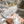 Miu 26s Embroidered Ballerinas White Mesh 951512