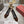 RV 26s Belle Vivier Pumps 4.5cm Tortoiseshell Patent Leather 999730