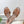 lv sandal isola flat mule brown calfskin star monogram