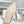 CD 25 Slingback Flat White Calfskin 307442