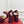 VT Garavani 25 Platform Ruby Red Suede 330965