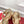 VT Garavani 25 Platform Beige Suede 330966