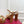 VT 25 Vlogo Platform Sandals Cherry Ankle Calfskin 330980