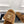 CC 25s Logo Slippers 50mm Brown Wool GHW 435263