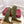 Gucci 25𝐬𝐬 hight boots olive green suede 435371