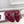 Mules plates Horsebit GG 26 velours rouge strass 587081