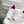 CD SS26 B30 Sneakers White Red Cowhide Mesh 631931