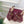 Mocassins à plateforme slingback GG Horsebit en cuir embossé bordeaux 640260