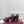 GG 26s Signora Pump 7.5cm Burgundy Leather 640307